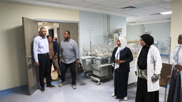 محافظ أسوان