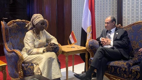 وزير الخارجية يلتقي