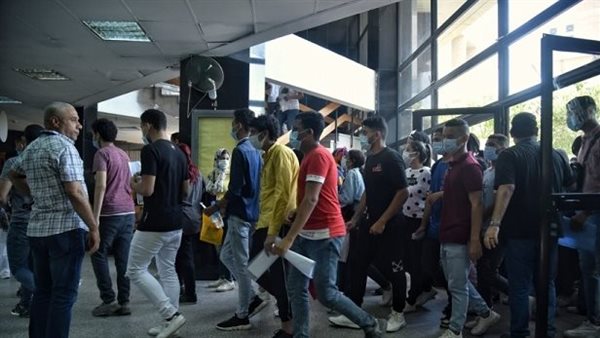 بالفيديو.. كيفية