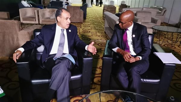 وزير الخارجية يلتقي