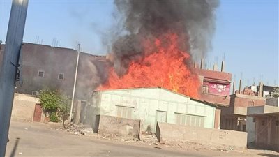 دون إصابات.. السيطرة على حريق داخل إحدى استراحات التربية والتعليم في سفاجا