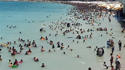 نشرة الإسكندرية| المحافظة تعتمد تعريفة الركوب الجديدة.. وفوز الأهلي على المصري بهدف