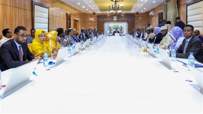 الصومال توافق رسميًا على اتفاقية دفاع مشترك مع مصر