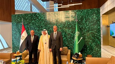 تشكيل فرق عمل مصرية سعودية لتنفيذ مشروعات الكهرباء والطاقة بين البلدين