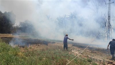 تفحم فدان زراعي بقرية في مركز الفرافرة بالوادي الجديد