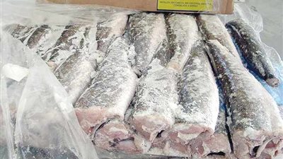 أسعار الأسماك اليوم الأحد 27 أكتوبر 2024 في الأسواق