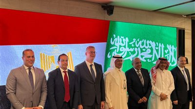 الدكتور محمود عصمت: مشروع الربط الكهربائي يلقى كل الدعم من السعودية