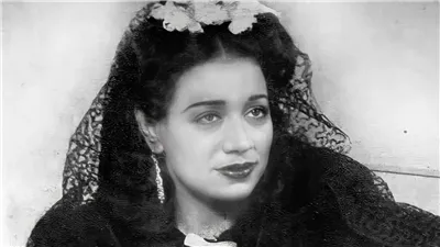 رجل أعمال: اشتريت قطعتي أرض من أملاك الفنانة الجاسوسة حكمت فهمي على الكورنيش واكتشفت تزوير موظف للأوراق| خاص