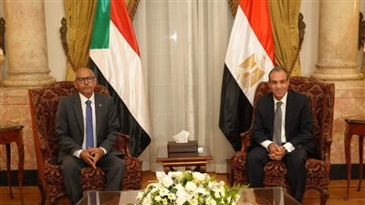 مباحثات بين وزير الخارجية ونظيره السوداني.. تحديات الحرب وسد النهضة وأمن البحر الأحمر أبرز الملفات