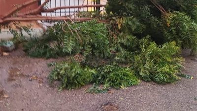 وقف الملاحة وسقوط أعمدة إنارة وانقطاع الكهرباء.. خسائر بأبو سمبل بسبب الأمطار الغزيرة