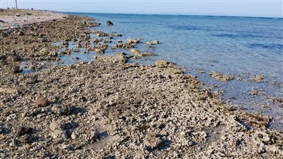 انحسار المياه يصل شواطئ الجبيل بمدينة طور سيناء