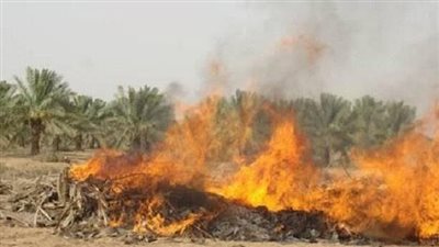 وصلت لـ 50 ألفا.. غرامات على 25 مزارعا حرقوا مخلفات زراعية بالوادي الجديد