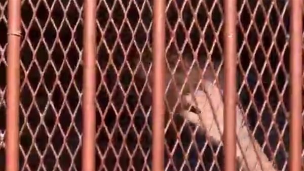 قاتل والده ببورسعيد