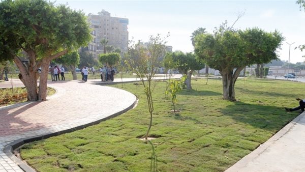 تشجير الطرق والمحاور