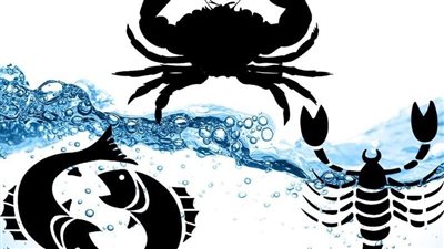 توقعات الأبراج المائية حظك اليوم الخميس 25-7-2024: قمر الحوت يدعم الأجواء