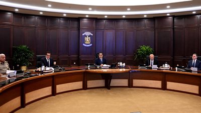 مجلس الوزراء يوافق على إضافة كلية العلاج الطبيعي بجامعة الملك سلمان الدولية