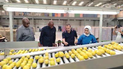 لفتح أسواق جديدة.. الزراعة: سفراء تجمع سادك يتفقدون محطات التصدير بالطريق الصحراوي 