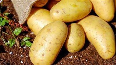 أسعار الخضراوات والفاكهة اليوم الثلاثاء 7 يناير 2025