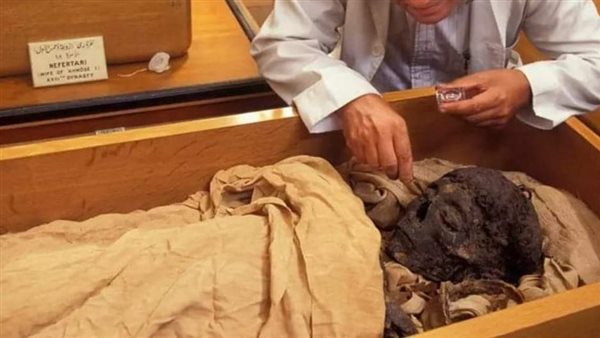 ترميم المومياوات