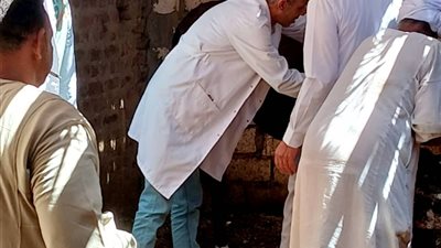 تحصين 29 ألف رأس ماشية ضد الحمى القلاعية والوادي المتصدع بقنا