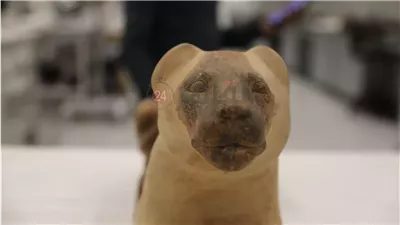 بينها قلادة محفوظة من 90 عامًا.. ننشر أسماء قطع أثرية تعرض لأول مرة داخل المتحف الكبير| صور 