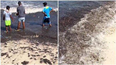 رواسب سوداء على شواطئ بالبحر المتوسط تثير الجدل بين المصطافين
