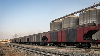 ميناء دمياط يعلن مغادرة قطاري بضائع محملين بالقمح إلى صوامع شبرا والفيوم 