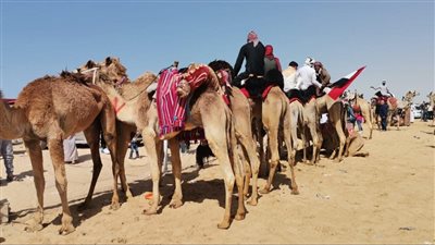 بـ43 جملا.. الوادي الجديد تحصد المركزين الأول والثاني في سباق الهجن بالعلمين| صور