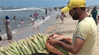 شقيان على أكل عيشه.. «عم السيد» بائع الذرة متجول مصيف بلطيم: بمشي 50 كيلو يوميًا عشان أربي عيالي بالحلال