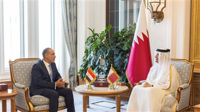 وزير الخارجية يعقد جلسة مباحثات مع نظيره القطري ويؤكد أهمية زيادة حجم التبادل التجاري