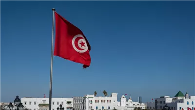 الثالثة عالميا.. تونس تتوقع ارتفاع إنتاج زيت الزيتون 55% الموسم الحالي