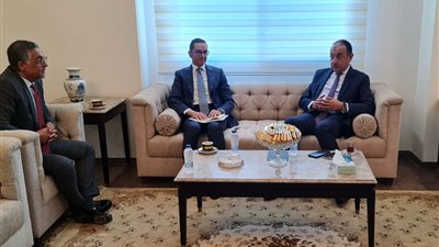 الاستفادة القصوى من أصول الشركات.. تفاصيل لقاء وزيري قطاع الأعمال والاستثمار