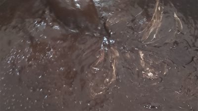 ضبط مصنع طحينة مخالف للمواصفات في البحيرة ومصادرة 5.5 طن مضبوطات