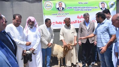 الزراعة توزع 50 ألف شتلة زيتون و120 كبش غنم على المزارعين بمطروح