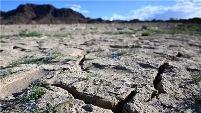 إجراءات حكومية للحد من تأثير التغيرات المناخية على الأراضي الزراعية