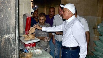 محافظ الأقصر يوجه بتجليد قواعد الأكشاك الكهربائية.. وتكثيف التشجير وزراعة الشتلات على الأرصفة| صور