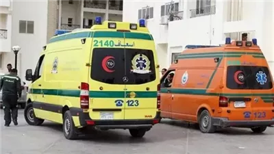 مصرع 3 أشخاص إثر سقوطهم من سقالة بكفر الشيخ