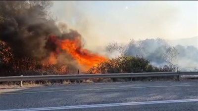 بـ 36 فريق إطفاء و6 طائرات.. السيطرة على حرائق ضخمة في إسرائيل