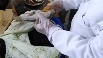 بعد تسمم مواطنين بسبب سردين فاسد.. محافظ الغربية يشن حملات على محال بيع الأسماك بالسنطة وطنطا