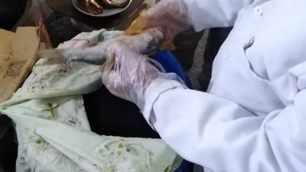 محافظ الغربية يشن