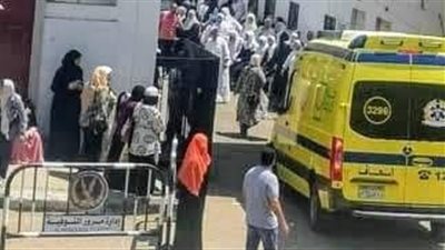 بينهم 3 أشقاء صغار.. إصابة 6 أشخاص في انقلاب ملاكي بالمنوفية