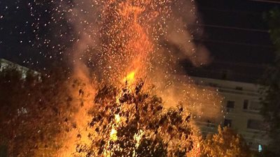 السيطرة على حريق بمجموعة أشجار في حدائق الأهرام