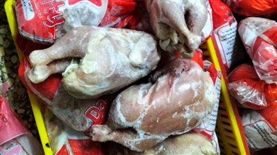 ضبط 3 أطنان دواجن مجمدة غير صالحة للاستهلاك الآدمي بالشرقية | صور