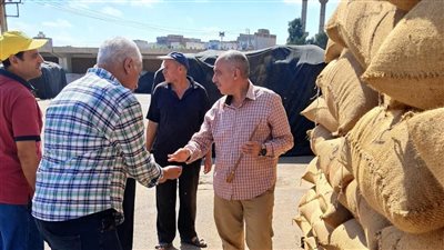 الزراعة: الإمارات طلبت استيراد 225 طن من تقاوي قمح صنف مصر 3 