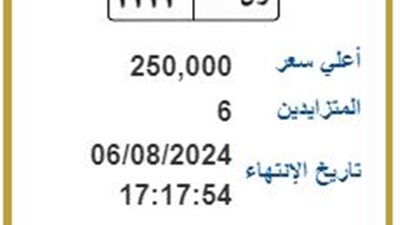 وصلت لـ 250 ألف جنيه.. 6 أشخاص يتزايدون على لوحة مرور مميزة تحمل رقم ر ن 3333