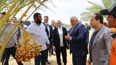 محافظ الوادي الجديد يتفقد مشروع واحة الحرير الطبيعي بمدينة الخارجة