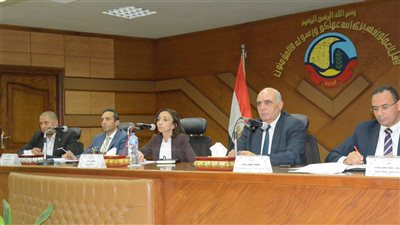 اللجنة العليا للاستثمار بالبحيرة توافق على إقامة 5 مشاريع بتكلفة 168 مليون جنيه