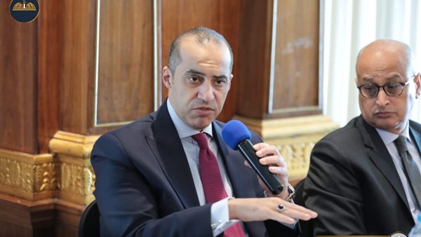 المستشار محمود فوزي