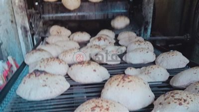 ضبط 170 مخالفة تموينية خلال حملات على الأسواق في المنيا 