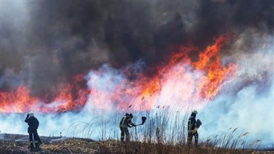 دراسة: دخان حرائق الغابات تأثيره ضار على العمليات الجراحية 